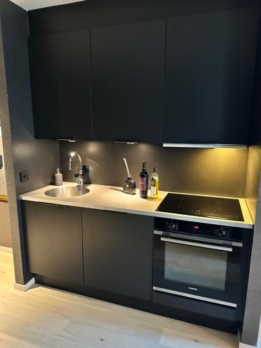 Exclusive Apartment at Tjuvholmen ,Luxury in the Heart of Oslo, Oslo (photo 9)