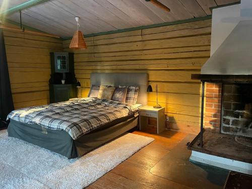 Nice ski in ski out cabin in บอลล์เนส