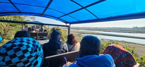 Pusat bisnis, Hotel Tiger's Den - Peace Home, Family -an exciting adventurous park safari, arranger in Chitwan