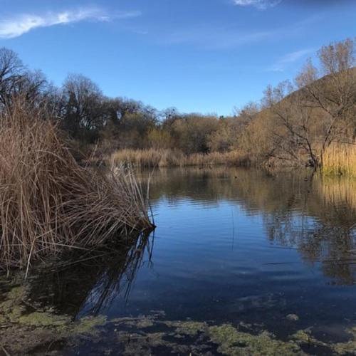 Motel 6 Las Vegas NV Downtown Fremont St