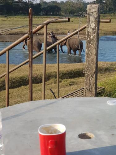 Hotel Tiger's Den - Peace Home, Family -an exciting adventurous park safari, arranger in Chitwan