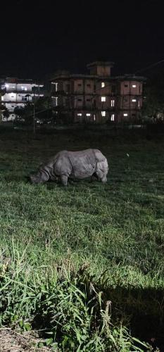 Hotel Tiger's Den - Peace Home, Family -an exciting adventurous park safari, arranger in Chitwan