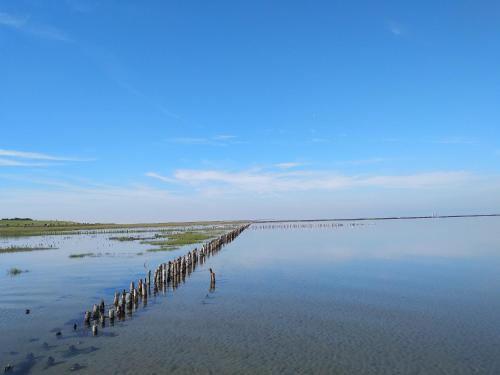 สภาพแวดล้อมโดยรอบ, Hus op de Wurth Ferienwohnung seaside sixteen in บูซูเมอร์ ไดช์เฮาเซิน