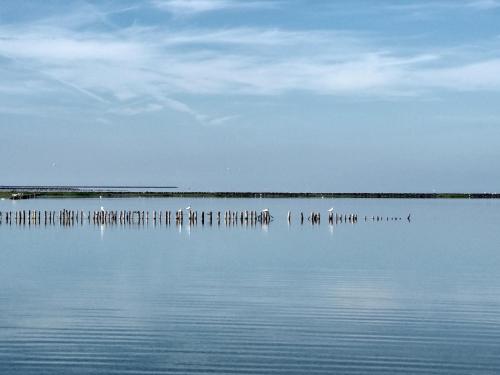 สภาพแวดล้อมโดยรอบ, Hus op de Wurth Ferienwohnung seaside sixteen in บูซูเมอร์ ไดช์เฮาเซิน