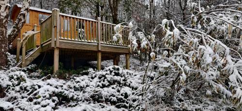 Pike's Cabin in the Woods in Blackshaw