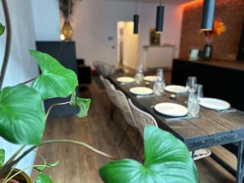 The Green Gatsby II, Amberes (foto 8)