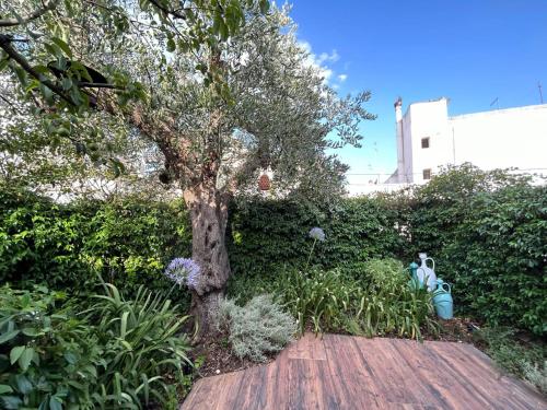 Trulli MADIA Luxury Alberobello 2