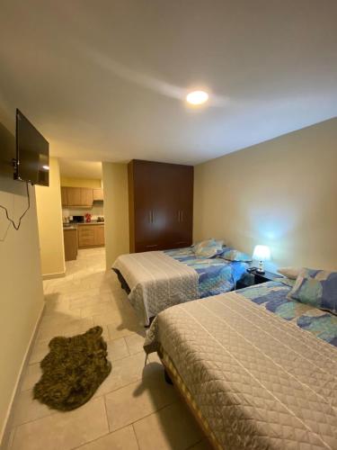 Suite Amoblada #3