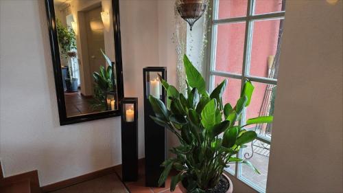 Facilities, Ferienwohnung Die Reblaus in Erlabrunn