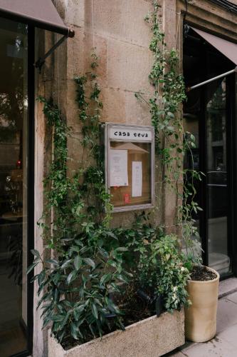 Hotel Barbara - image 12