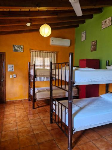 Casa Kraken Hostel in Пуерто-Вальярта