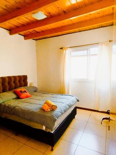 Home y Studio, Centro Mendoza