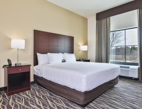 Cobblestone Hotel & Suites - Rhinelander - image 12