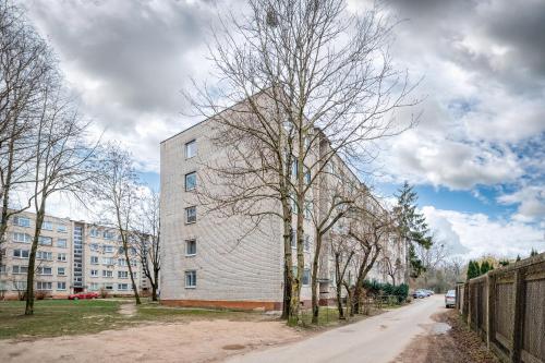 Apartment Dandelion by Polo Apartments