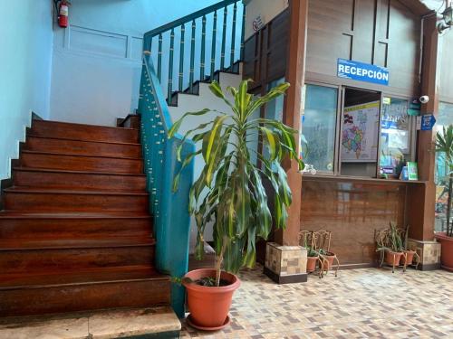 Lobby, RESIDENCIAL INTERNACIONAL En el alma cultural de LOJA in Loja