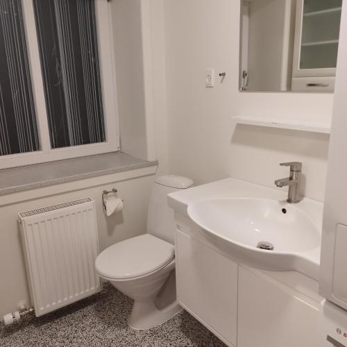 Bany, Hyggelig lejlighed i stille by in Vemb