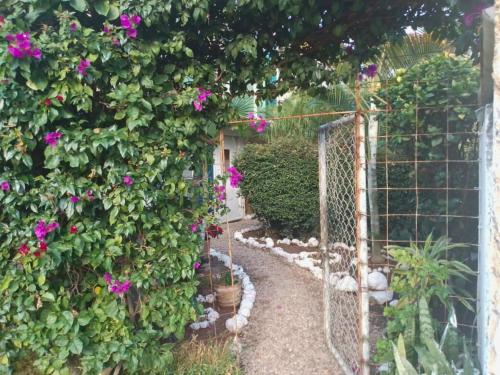 Cerca SixFlags Oaxtepec -Centro Convenciones -2 Recamaras -1 Baño Privado (Cerca SixFlags Oaxtepec -Centro Convenciones -2 Recamaras -1 Bano Privado) in Cocoyoc