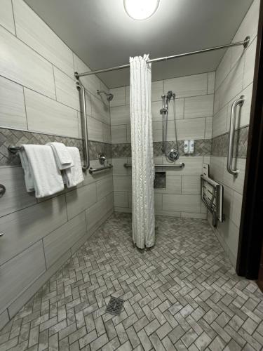 Comfort Inn Binghamton I-81 - image 16