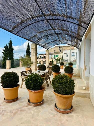 Mater Ariany - image 7