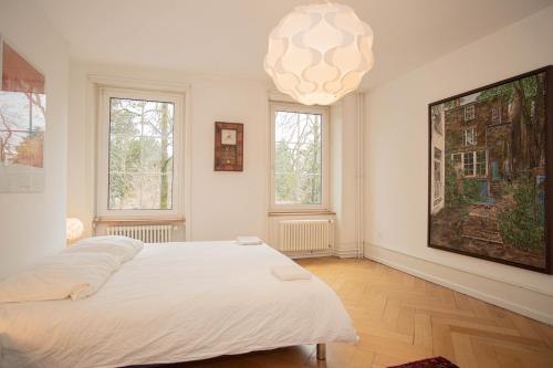 Two Floor Apartment with Garden & BaselCard, Basel (photo 2)