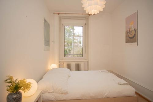 Two Floor Apartment with Garden & BaselCard, Basel (photo 7)