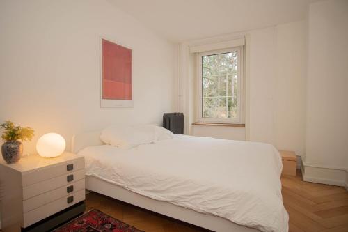 Two Floor Apartment with Garden & BaselCard, Basel (photo 3)