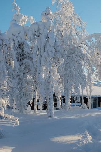 RukaNeliö Cottage