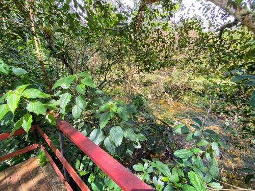 Habitación ideal para familia o amigos a borde de rio y mucha naturaleza