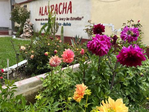 Alaxpacha in ฮัวตาจาต้า