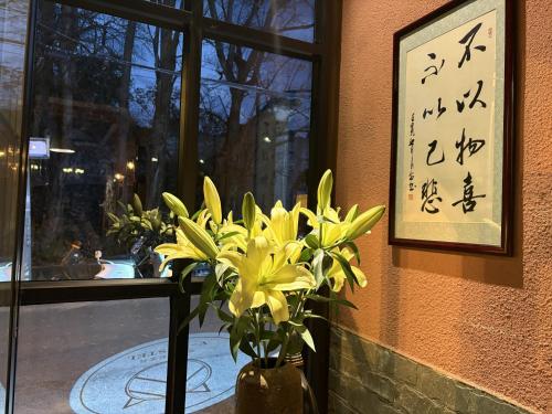 大理古城梵猫轻客栈, Dali (foto 9)