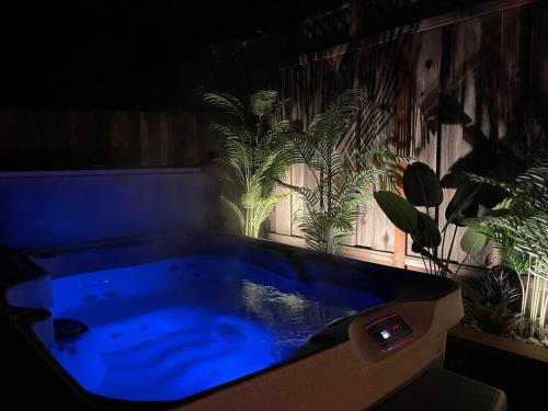 Redwood Grove - Hot Tub PS5 Redwood Park