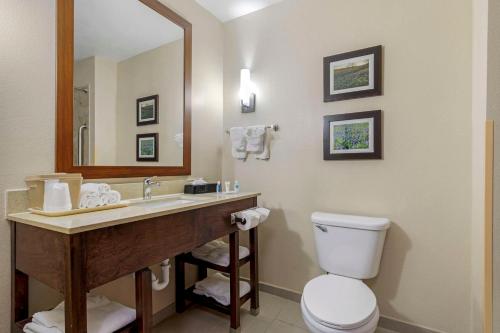 Comfort Suites Benbrook - image 10