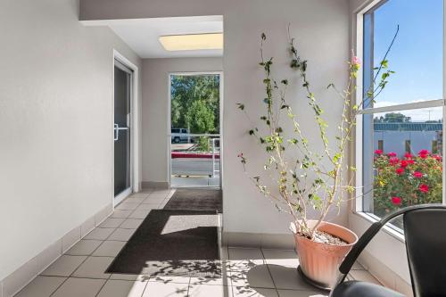 Előcsarnok, Econo Lodge in Idaho Falls (Idaho)