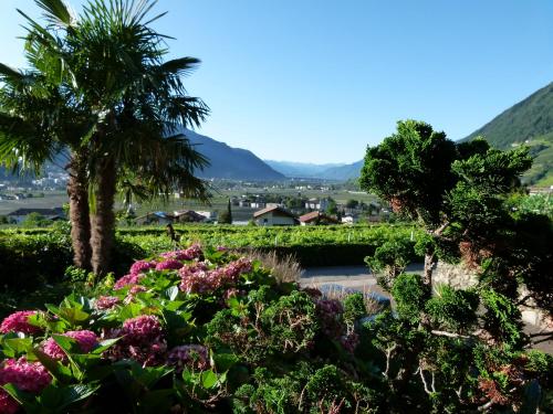 Pension Hauenstein - Meran