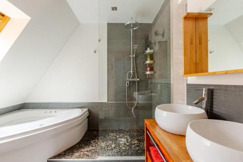 Superbe duplex prox centre-ville Beautiful duplex close to center, Strasbourg (photo 9)