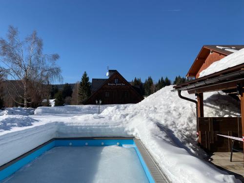 Chalet Schafer s vyhrivanym bazenem se slanou vodou a saunou in Harrachov