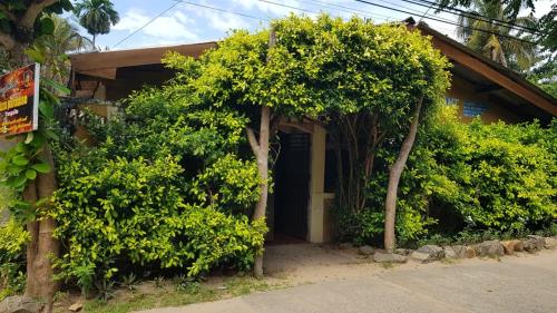 Kingfisher Guesthouse and Hostel - image 3
