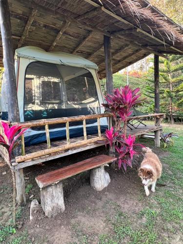 Baan Nam Phaeng Homestay