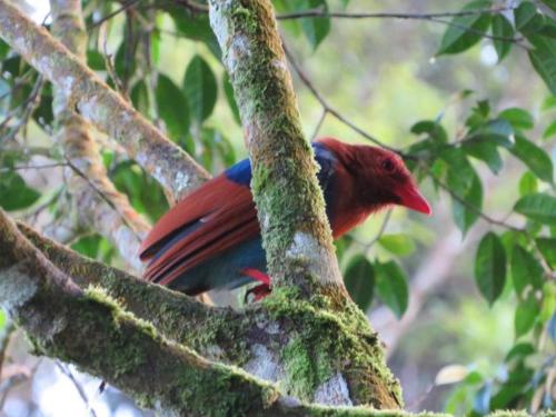정원, Calm Casita Luxury Villa in Matara in 웨리베리야