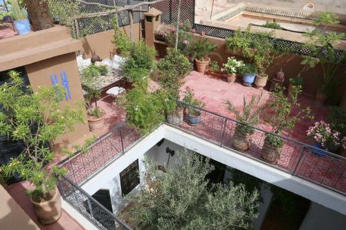 Riad XCIX, basin, 3 bedrooms in Medina excluded