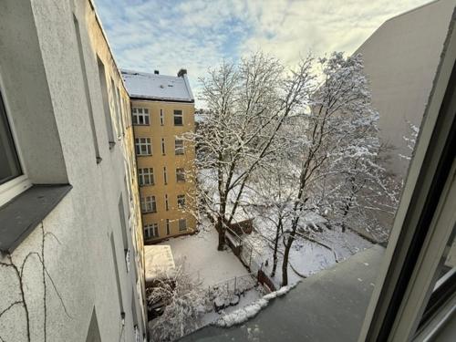 Cozy Apartment, Sehr gemütliche Wohnung, Berlín (fotografie 6)