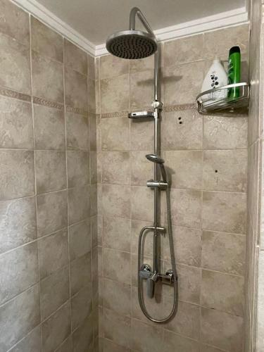 Asana by Agora Flats