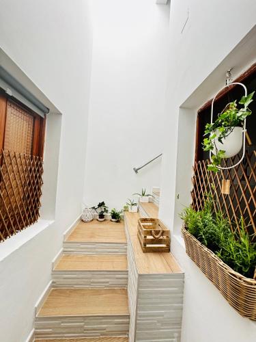 Guesthouse Ca'Artù 4