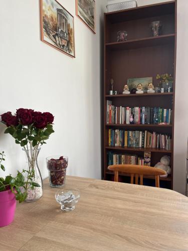 Apartament przy Parku Czartoryskich - Faktury VAT - parking in 普拉維