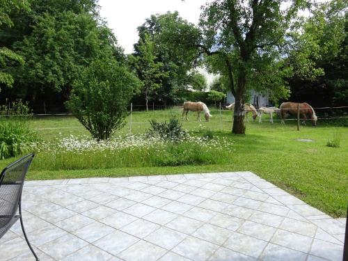 Ferienwohnungen Auhaus - image 2