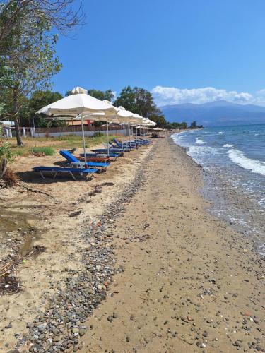 Makinia Beach - image 4
