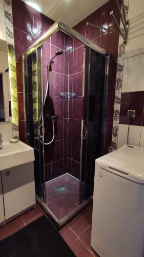 Dušš, Apartament 500 metrów od wjazdu na A4 (Apartament 500 metrow od wjazdu na A4) in Ruda Slaska