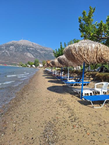 Makinia Beach - image 14