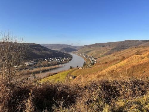 Surrounding environment, Moselblick im Denkmal in Zell an der Mosel