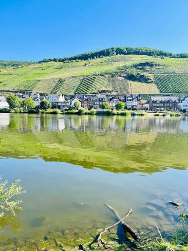 View, Moselblick im Denkmal in Zell an der Mosel